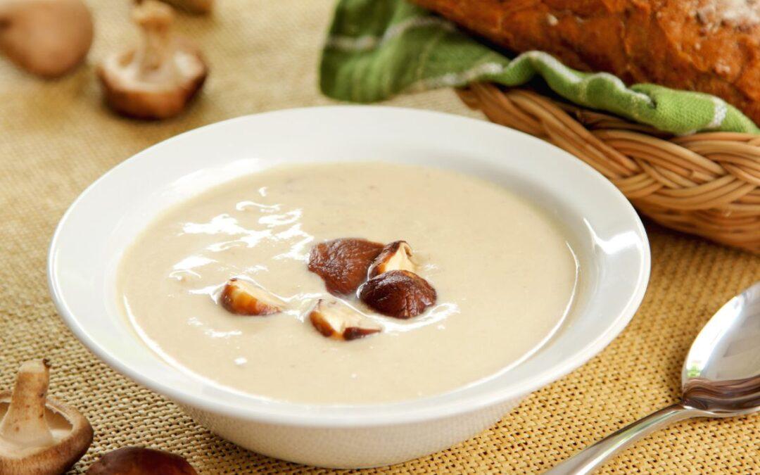Bowl of mushroom soup made from immortal blends food of the gods 8 Immortals - Magic Mushrooms superfood powder