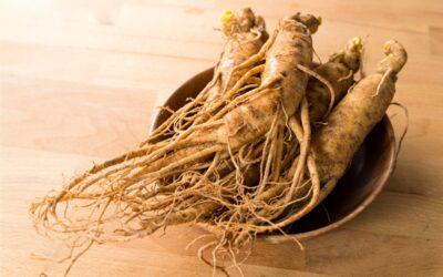 Ginseng: A Powerhouse Tonic Herb in “Food of the Gods”